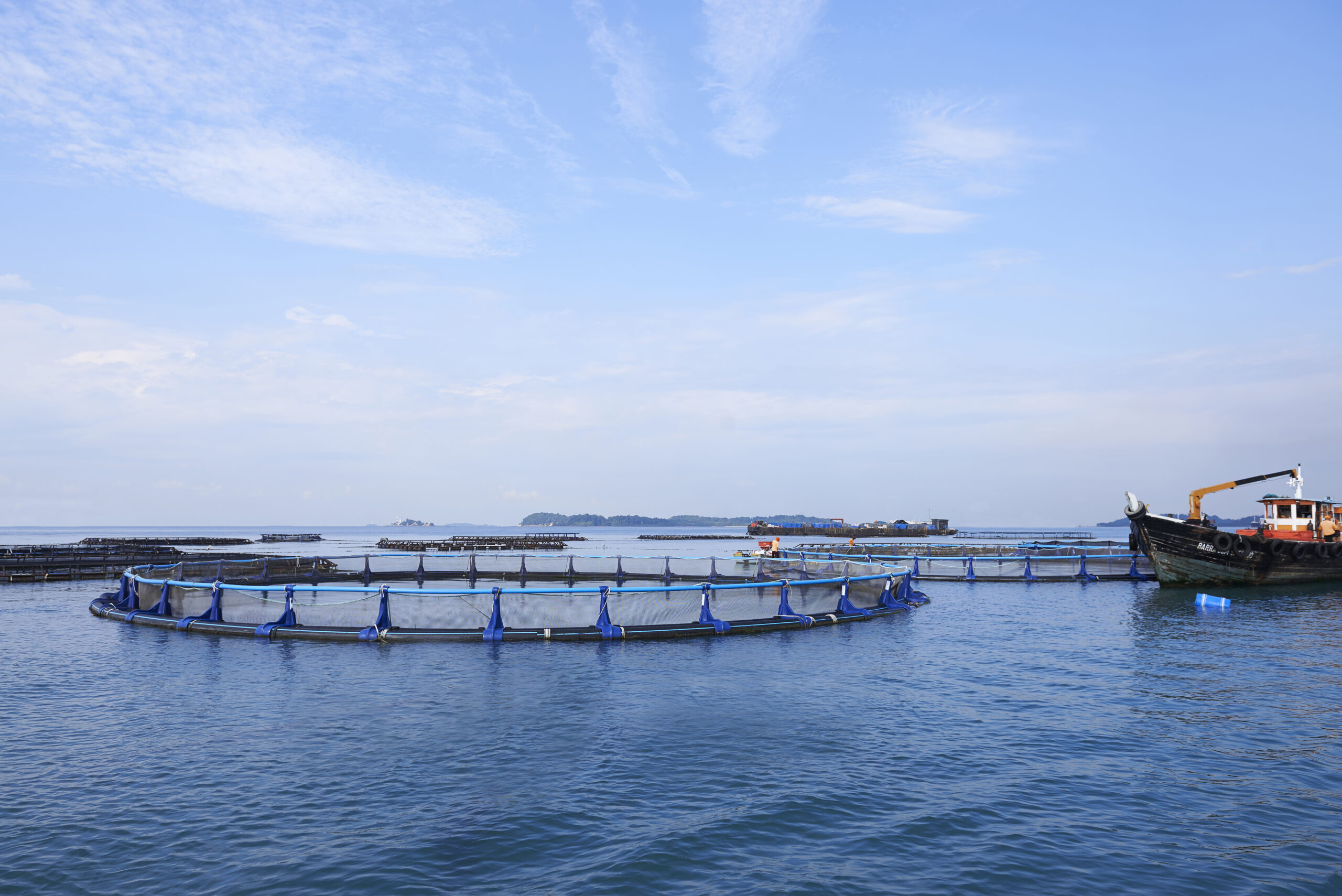 Barramundi Group farm, Singapore