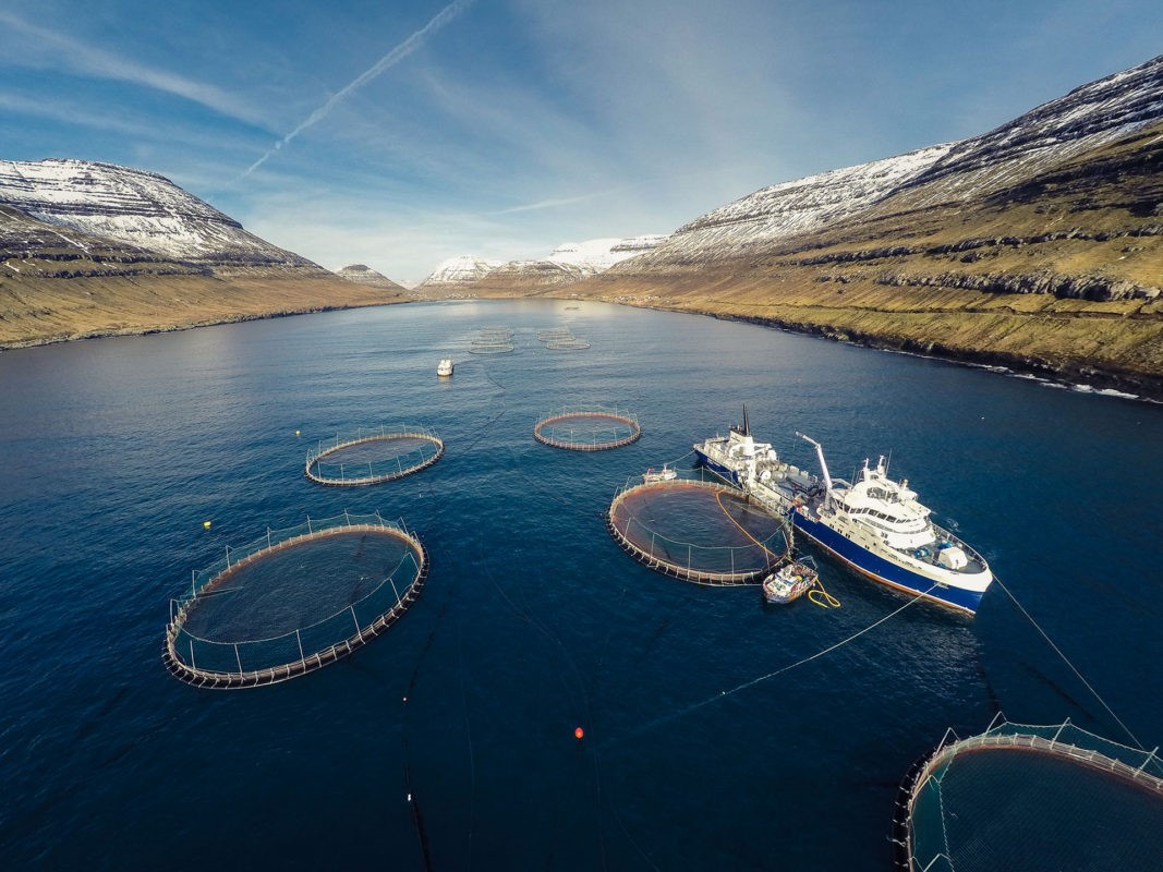 Bakkafrost farm, Faroes