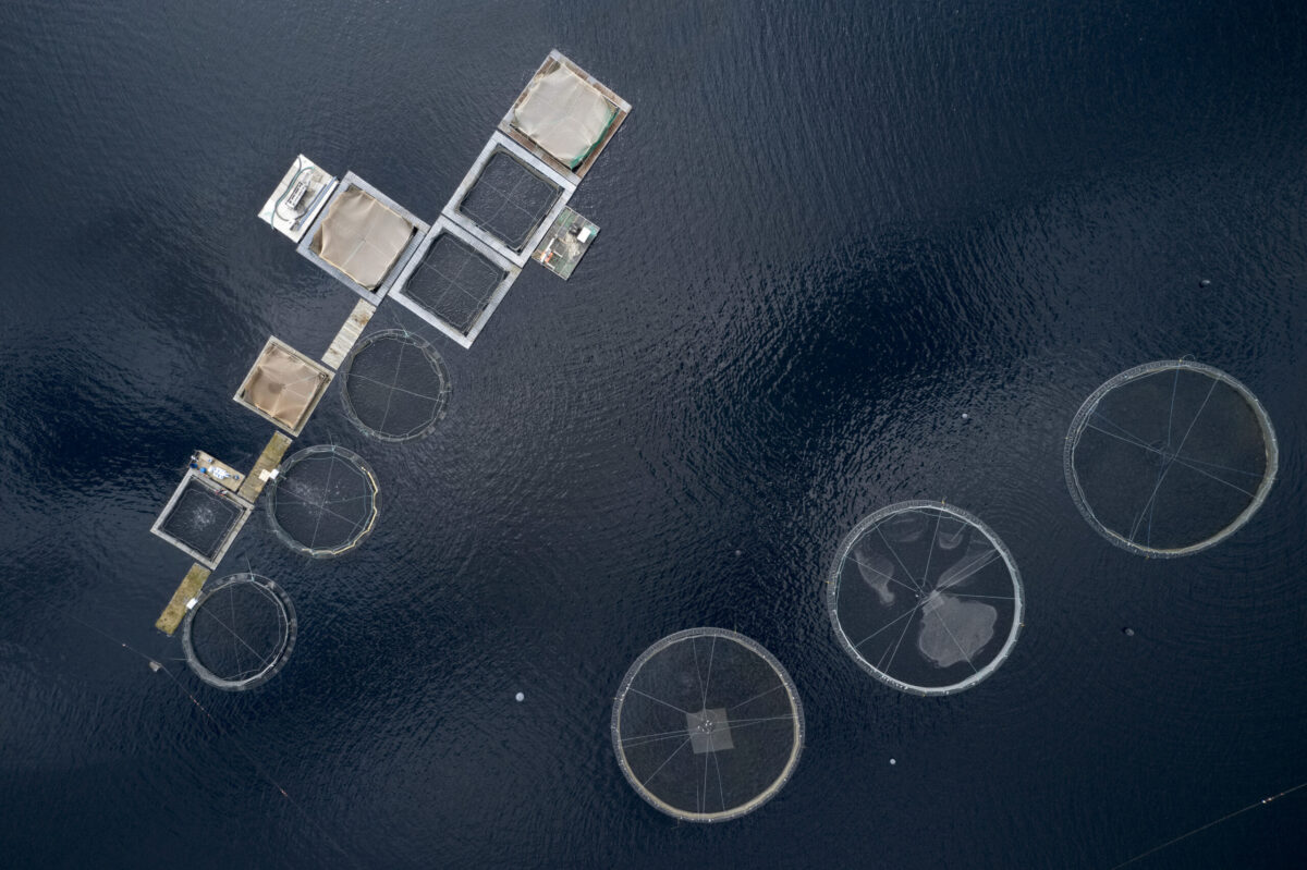 Fish farm salmon sea nets farming at sea Loch Tay Scotland UK