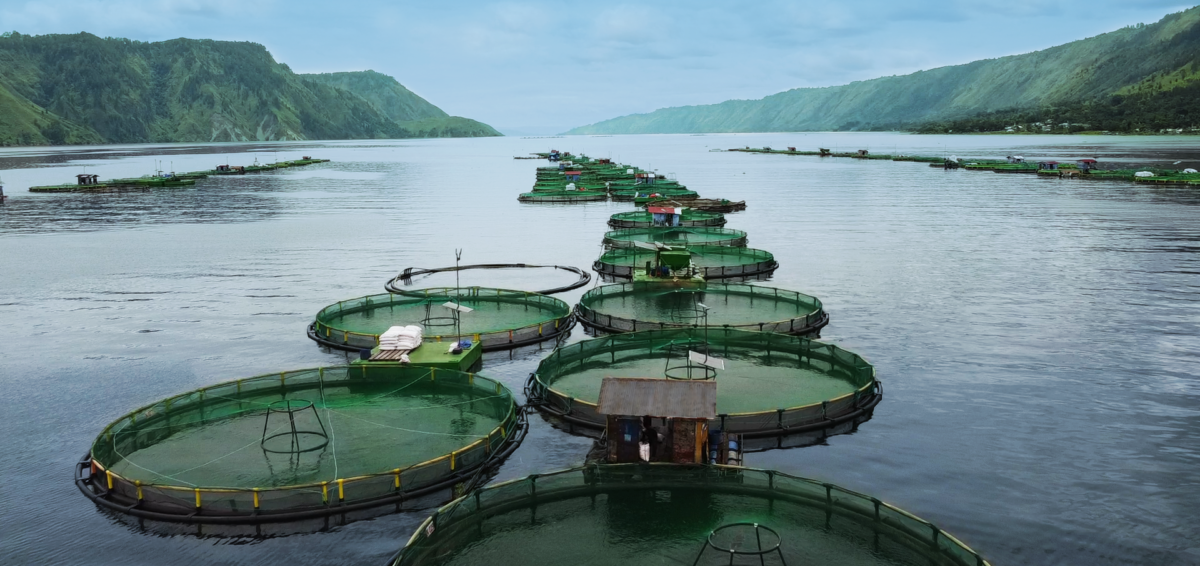 Fish farm pens in a lake