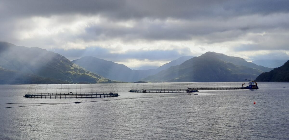 Mowi farm, Loch Hourn