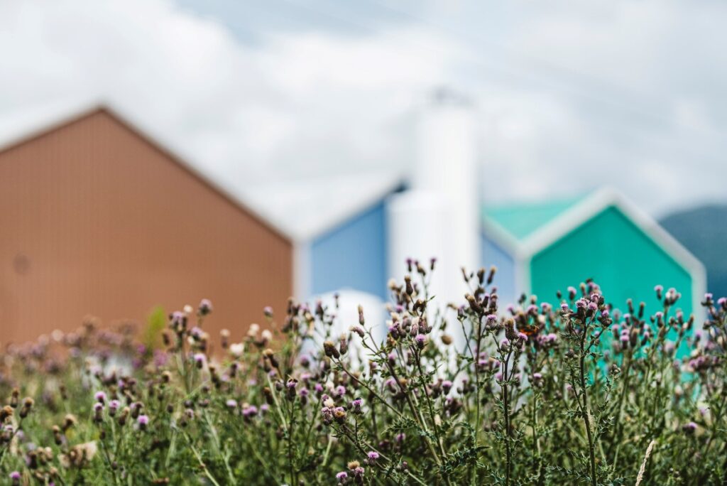 Scottish Sea Farms’ hatchery, Barcaldine