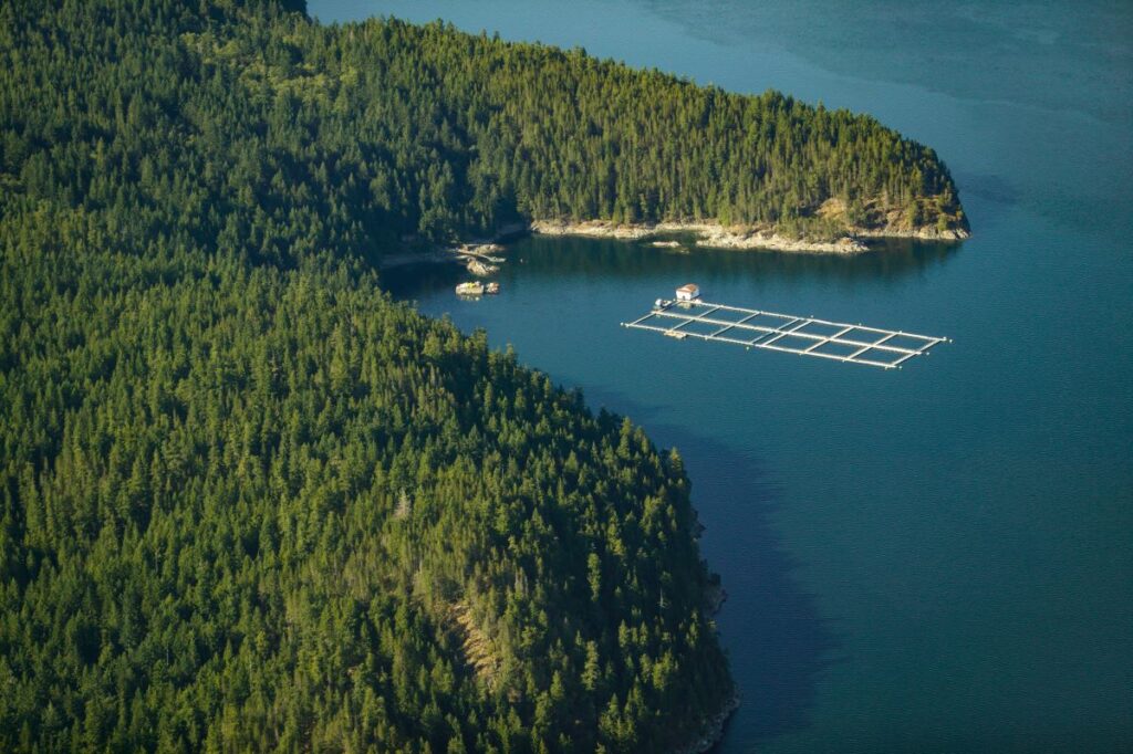 British Columbia fish farm