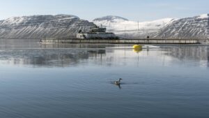 Icelandic salmon farmer granted a further 10,000 tonnes - Fish Farmer ...
