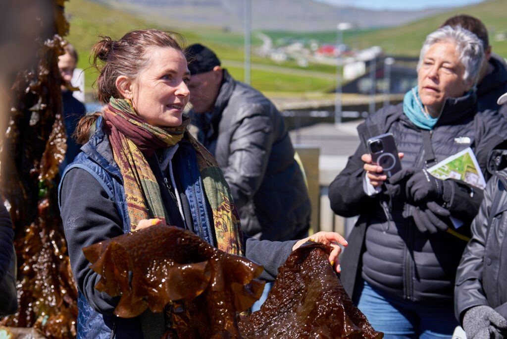 Ocean Rainforest tour. Faroes, Seagriculture 2024