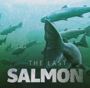 The Last Salmon podcast