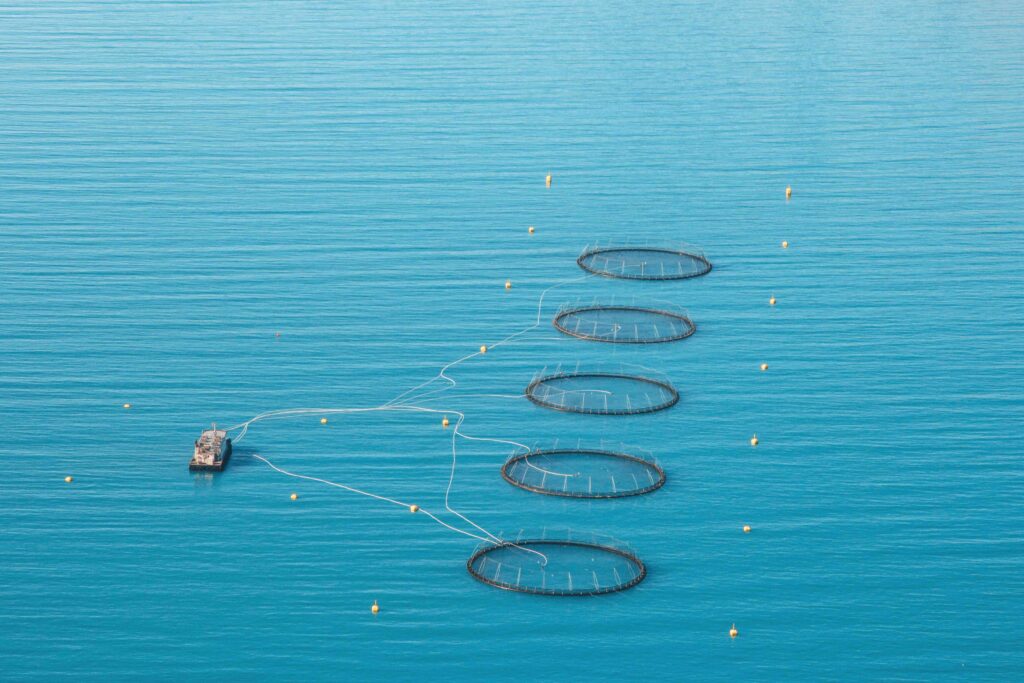 Fish farming in Norway with floating cages and ship aerial view blue sea