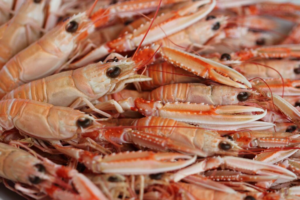 a lot of cooked langoustines