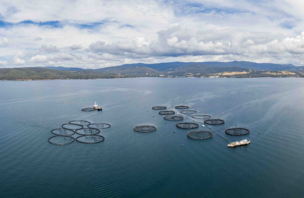 Panoramic aerial drone view of a large salmon fish farm (Aquaculture of salmonids) off the coast of Tinderbox in the local government area of Kingborough in the Hobart region of Tasmania, ... photo Juergen Wallstabe 