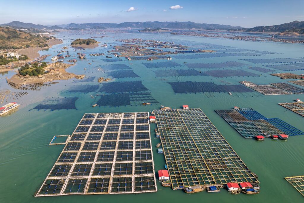 Aerial view of the sea fish farm cages and fishing village in XiaPu, FuJian province, China
