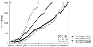 AquaGen growout data showing performance improvement across the generations