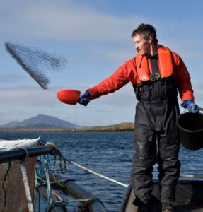 Irish salmon farm worker