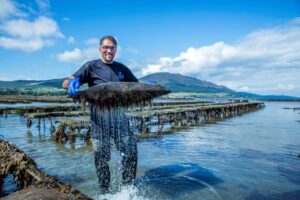 Kian Louët Feisser, Carlingford Oysters