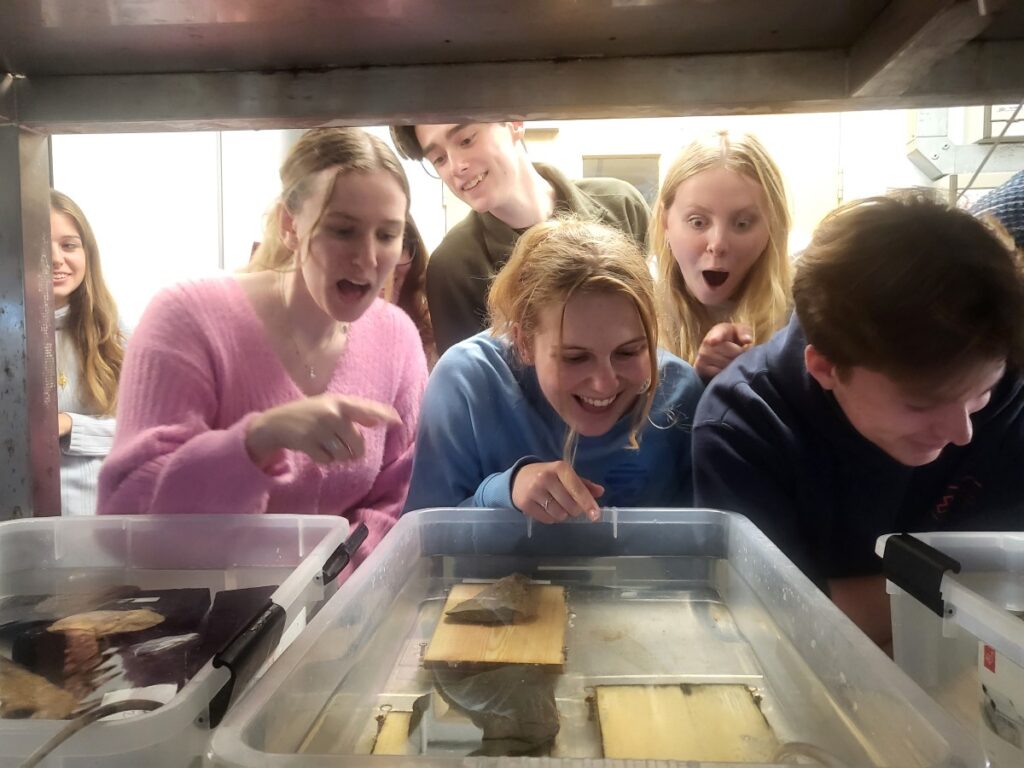 Students investigate the “naked clams” project
