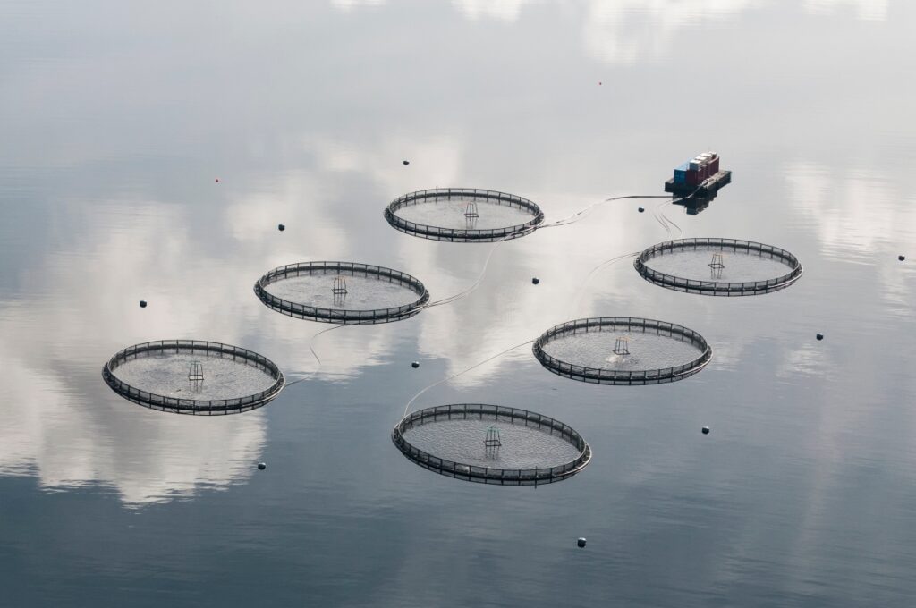 Circular fish farm cages in calm sea