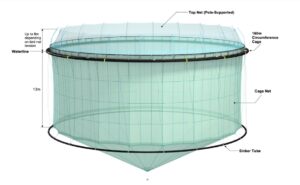 Scottish Sea Farms planned pens, Shetland