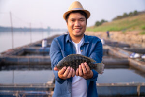 Tilapia is one of the most widely farmed species