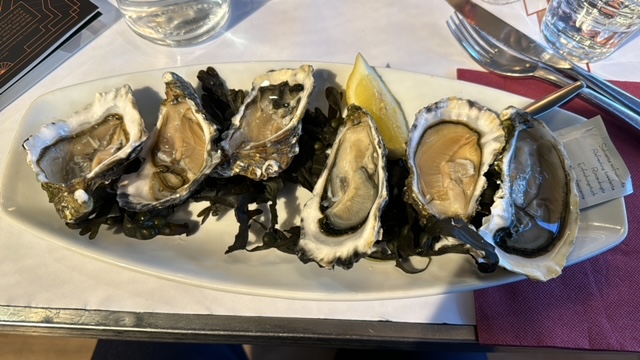 Oysters on plate