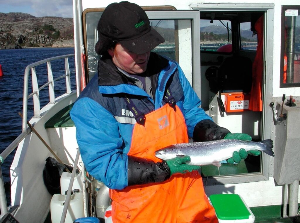 man in cap holding a trout