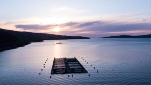 Little Loch Broom