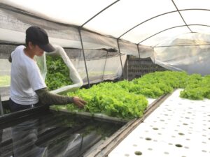 Aquaponics facility