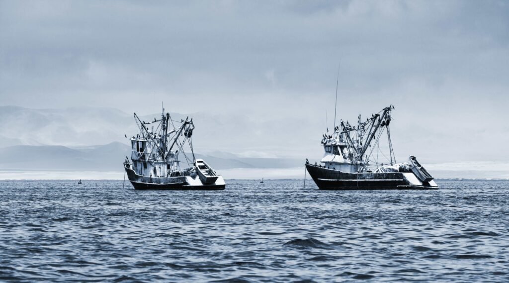 fishing boats in the bay of the Pacific Ocean