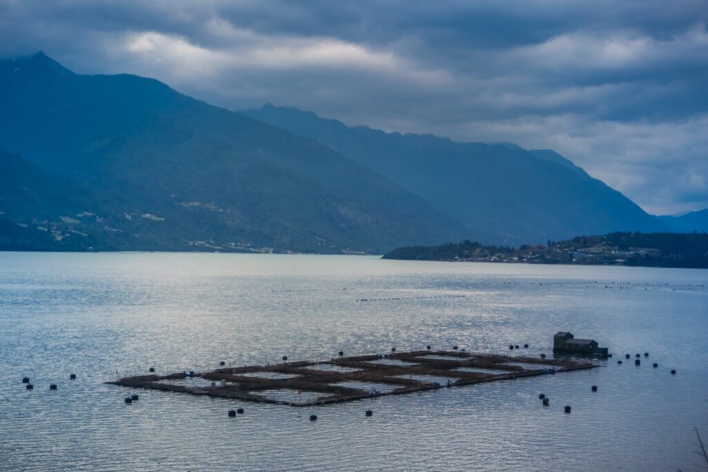 Salmon farm, Chile