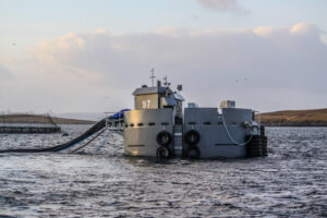 Copister hybrid feed barge, Cooke Scotland