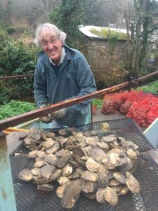 David with oyster shells