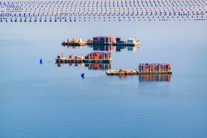 Fishing hatchery, Chile