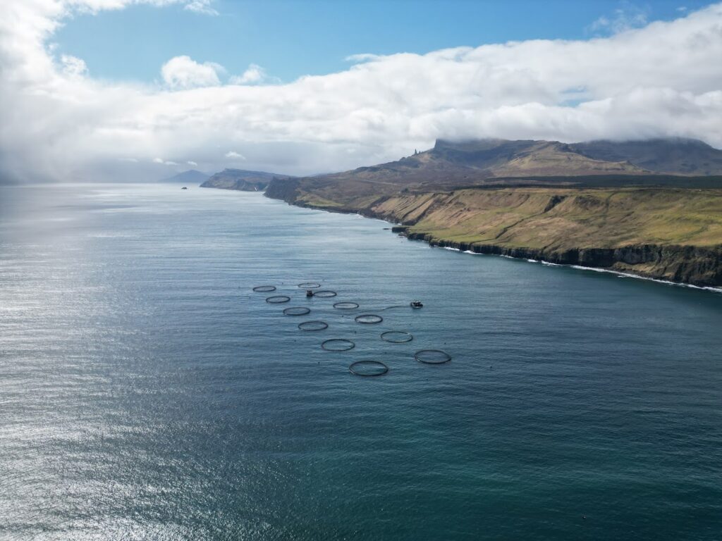 Organic Sea Harvest 2 months ago