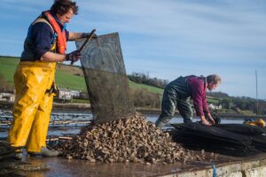 Rupert and Tristan, Rossmore Oysters