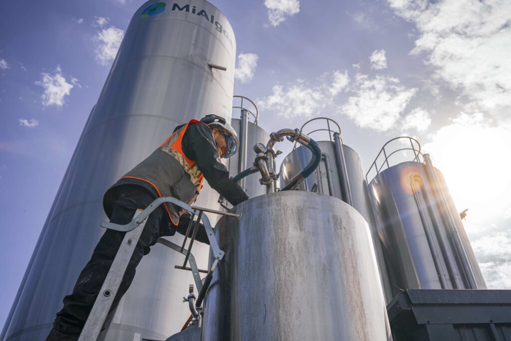 An employee checks the fermentation process in the 1000L bioreactors, next to the 30,000L bioreactors at MiAlgae's Commercial Demonstrator site