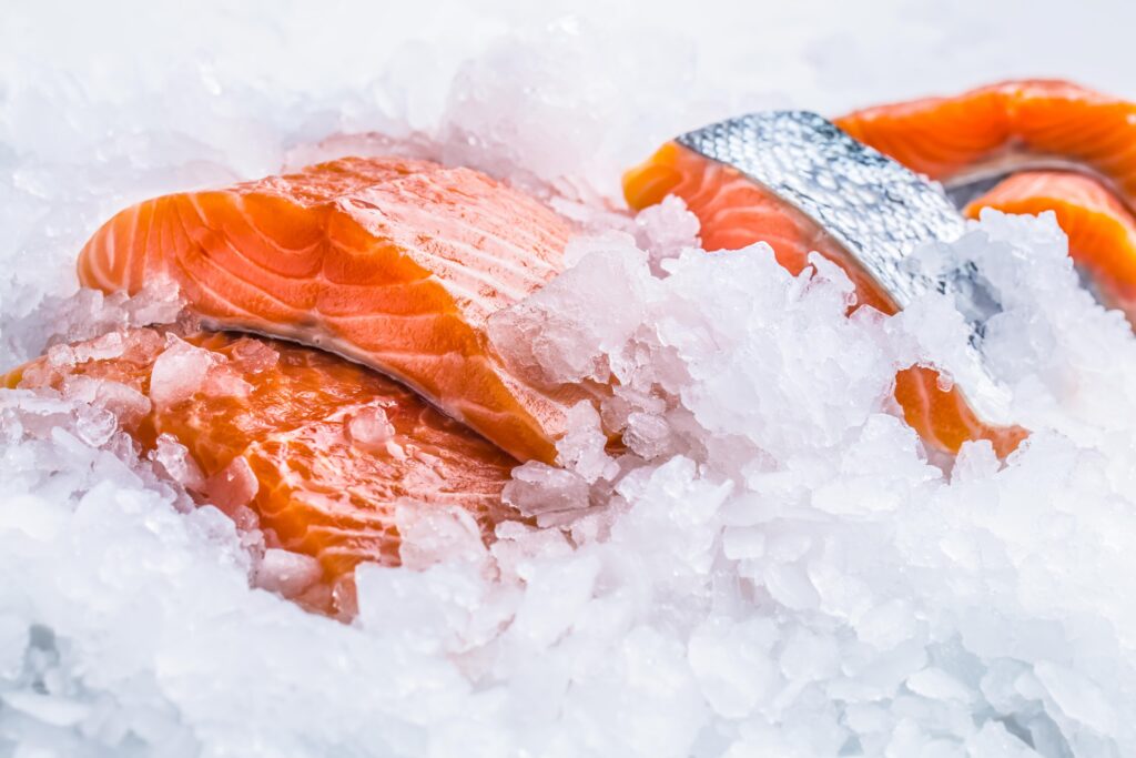 Fresh raw salmon fillets on Ice