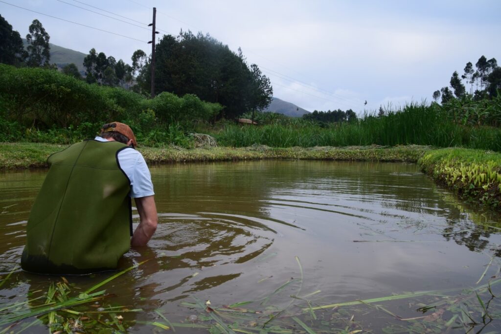 Co-Founder Tim Messeder in a farmer’s pond, part of the Rukungiri Hub 1 network