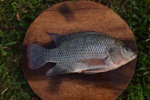 Tilapia on plate