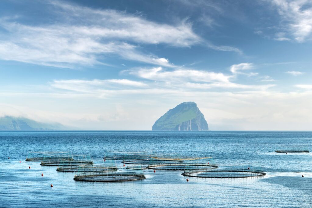 Faroes fish farms