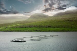 Faroes fish farms