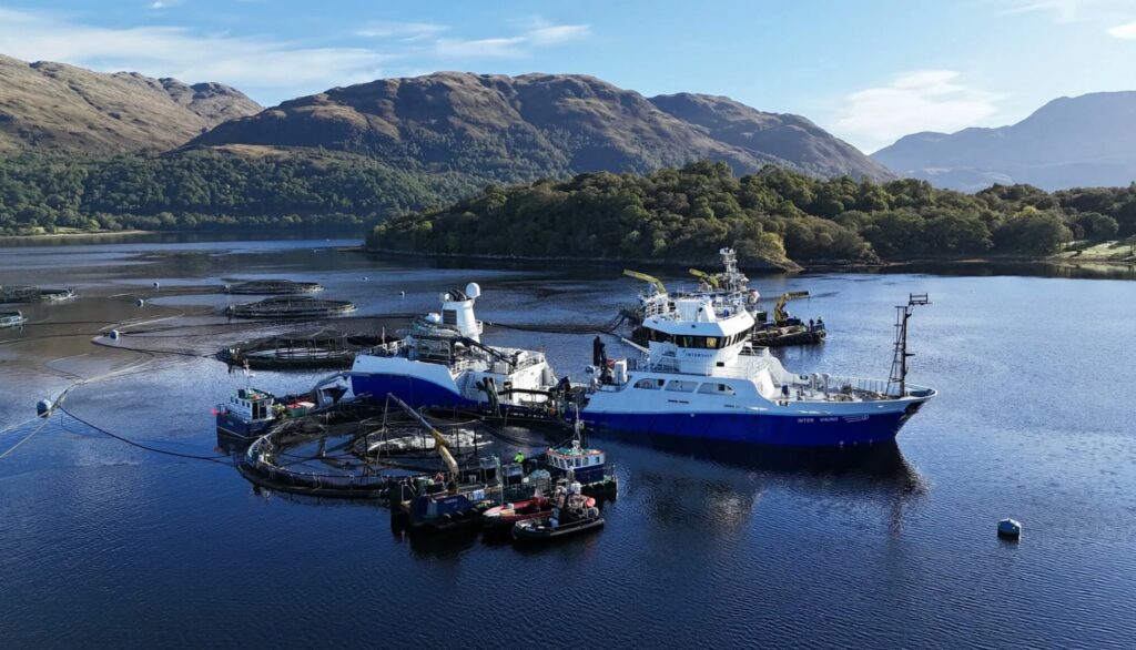 Wellboat next to fish farm