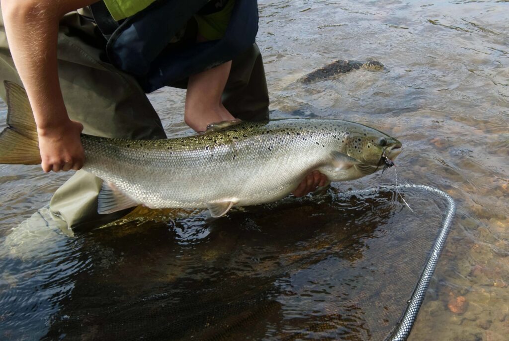 Angler holding salmon