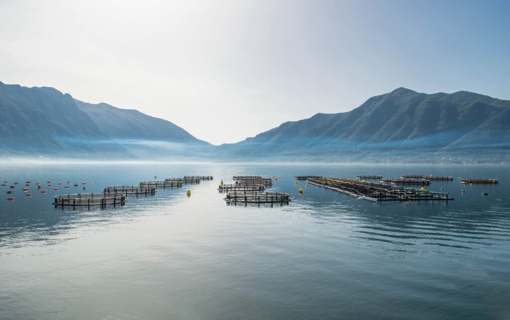 Fish farm at sea, mountains behind