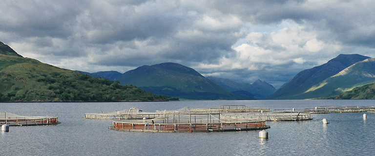 Fish farm, Loch Etive