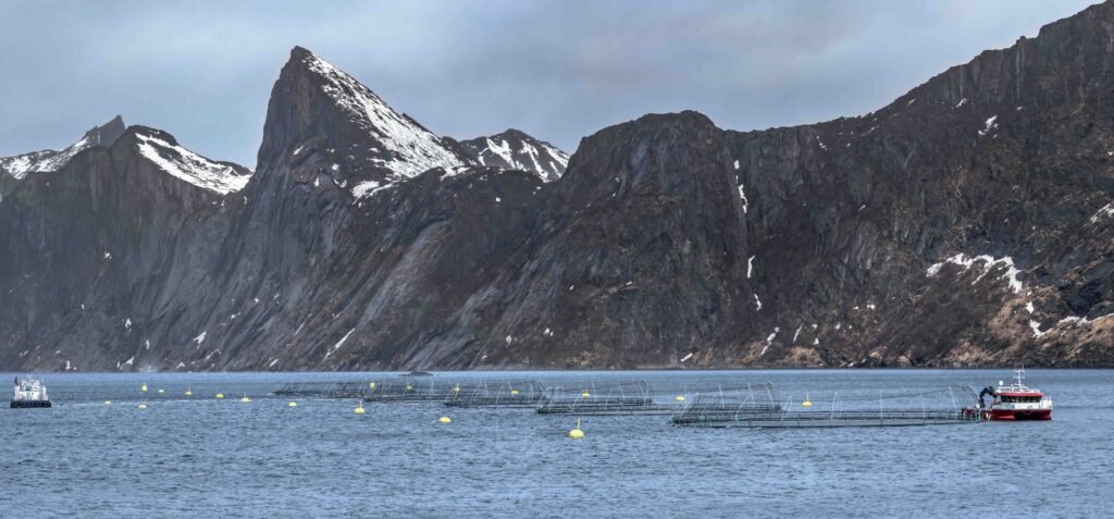 Fish farm pens at sea, mountains behind