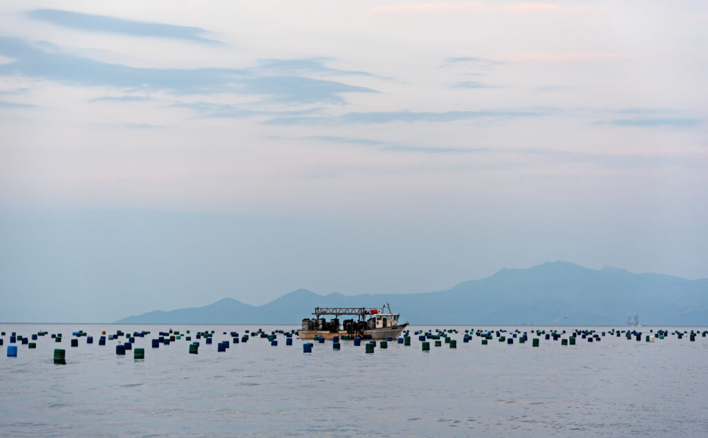 Mussel farm with fishing boat at evening