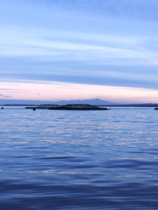 Petuna farm, Tasmania