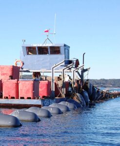 St Andrews mussel platform