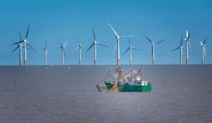 Wind farm and fishing vessel